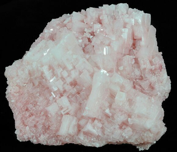 Pink Halite Crystal Plate - Trona, California #61053